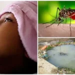 5 வயது சிறுமியின் உயிரை பறித்த டெங்கு காய்ச்சல்!!