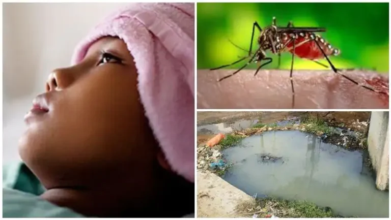 5 வயது சிறுமியின் உயிரை பறித்த டெங்கு காய்ச்சல்!!