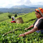 23 வருடங்களில் இல்லாத மிக மோசமான வீழ்ச்சியை சந்தித்த இலங்கை !