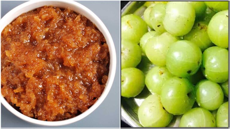 நெல்லிகாய் குல்கொந்தை நெல்லிகாய் குல்கொந்தை