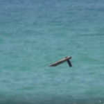 மட்டக்களப்பு கடற்பரப்பில் எரிபொருள் இன்மையால் உயிரிழந்த மீனவர்!