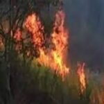 புகையிரத நிலையத்தை சார்ந்த வனப்பகுதியில் தீ விபத்து!