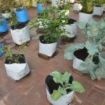 விவசாய திணைக்களம் பொதுமக்களிடம் விடுத்த கோரிக்கை