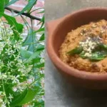 சுவையான வேப்பம்பூ துவையல்!