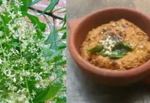 சுவையான வேப்பம்பூ துவையல்!