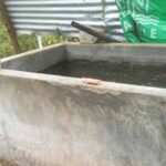 வவுனியாவில் தண்ணீர் தொட்டியில் விழுந்து 3 வயது சிறுமி மரணம்!