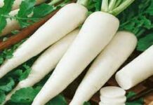 முள்ளங்கியை உணவில் சேர்ப்பதால் என்ன பலன்கள்…?