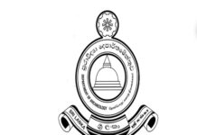 தொல்பொருள் தளங்களை பாதுகாப்பதற்கான விசேட திட்டம் ஆரம்பிக்கப்படும்